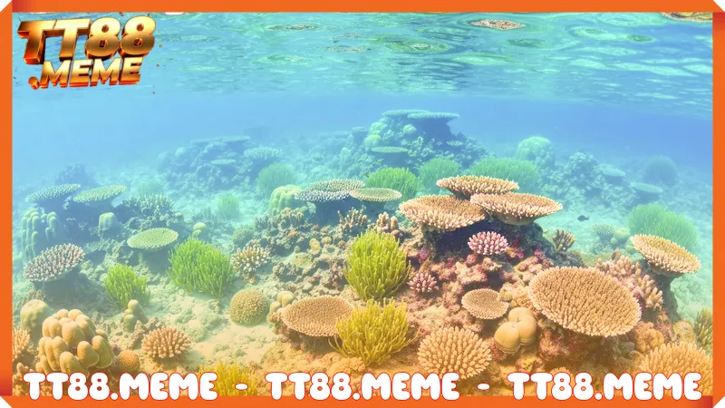 Game bắn cá TT88